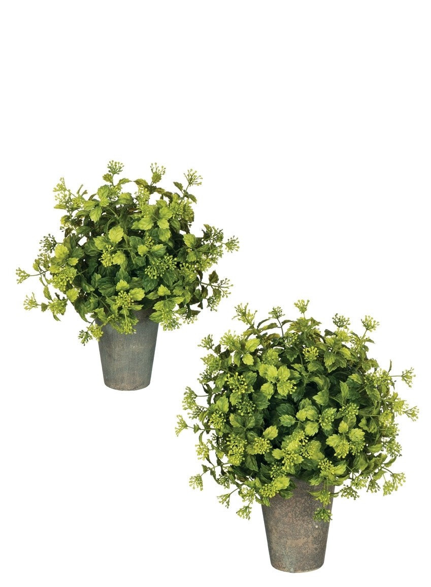 Berried Boxwood Topiary- 2 Sizes | The Nested Fig