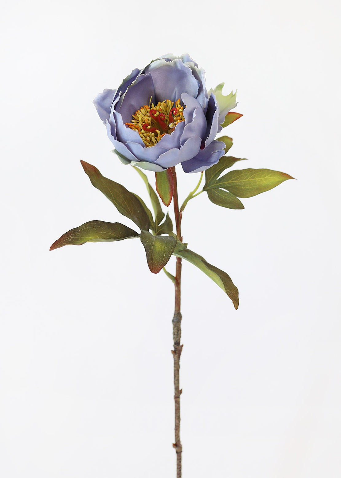 Silk Open Peony in Antique Blue - 22" Tall | Afloral (US)