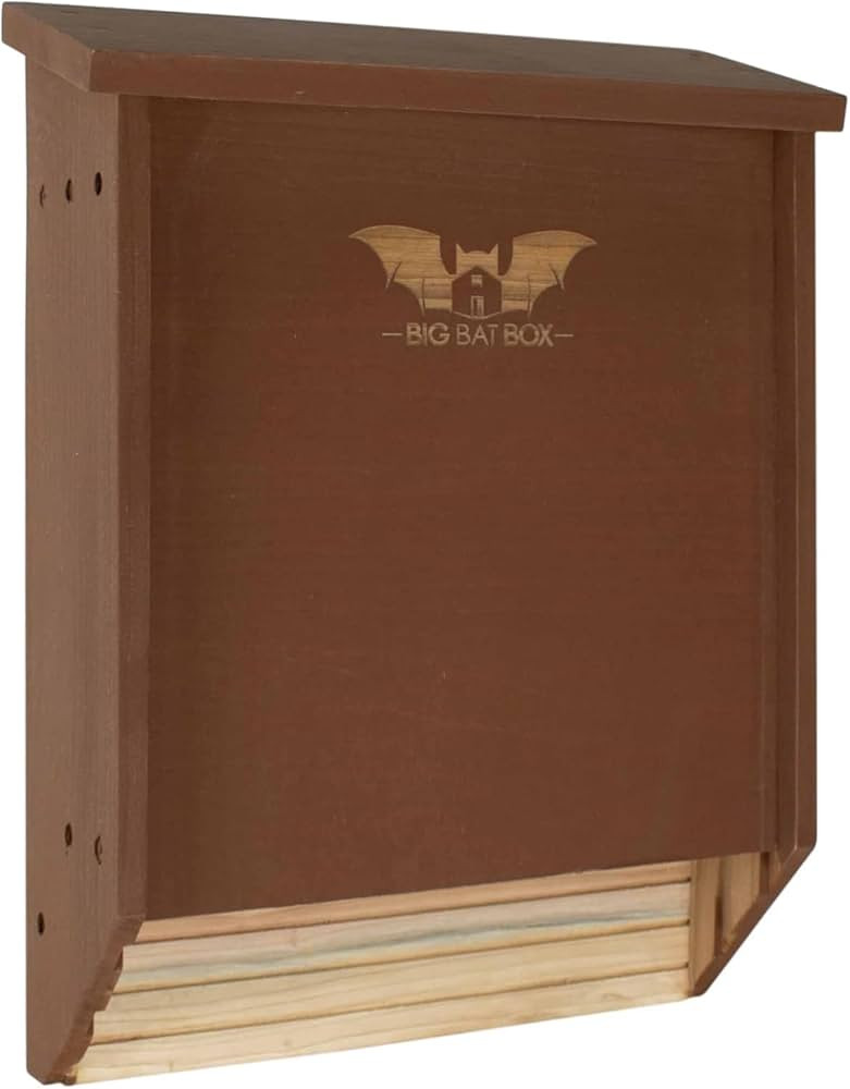 BIGBATBOX Wooden Large Bat House for Outdoors - 2 Chamber, Brown, Fits Up to 75 - Proven Backyard... | Amazon (US)