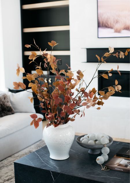 Alice Lane vase will always have my heart. It’s such a timeless piece. I have the largest size. Currently 20% off with code ALICELANE20 for 20% off. The stems are from crate and barrel. 
