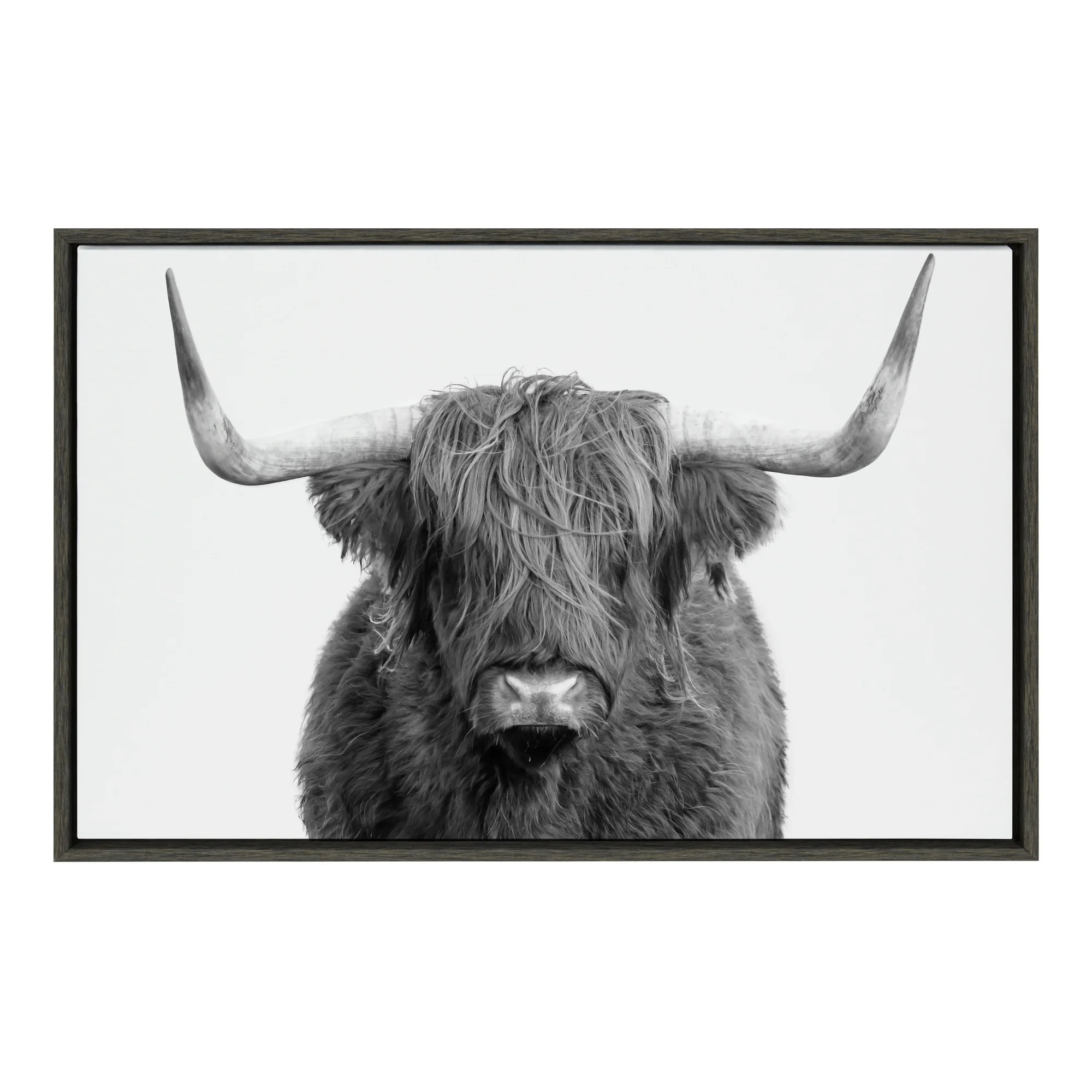 Kate and Laurel Sylvie Highland Cow Framed Canvas Wall Art by Amy Peterson, 23x33 Gray, Adorable ... | Walmart (US)