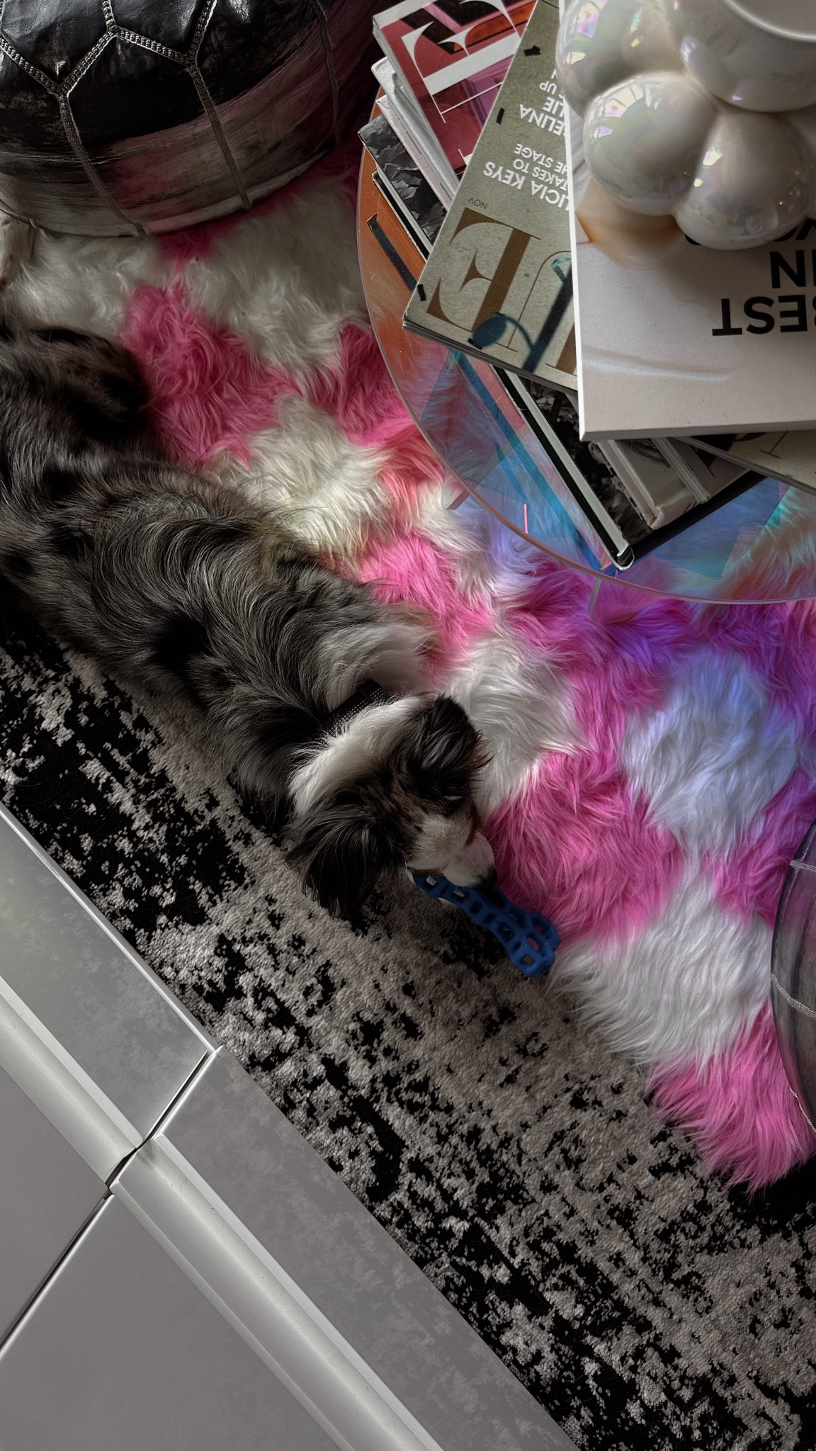 COLORFUL HOME DECOR: COLORFUL CHECKERED RUG



#LTKFindsUnder50 #LTKHome