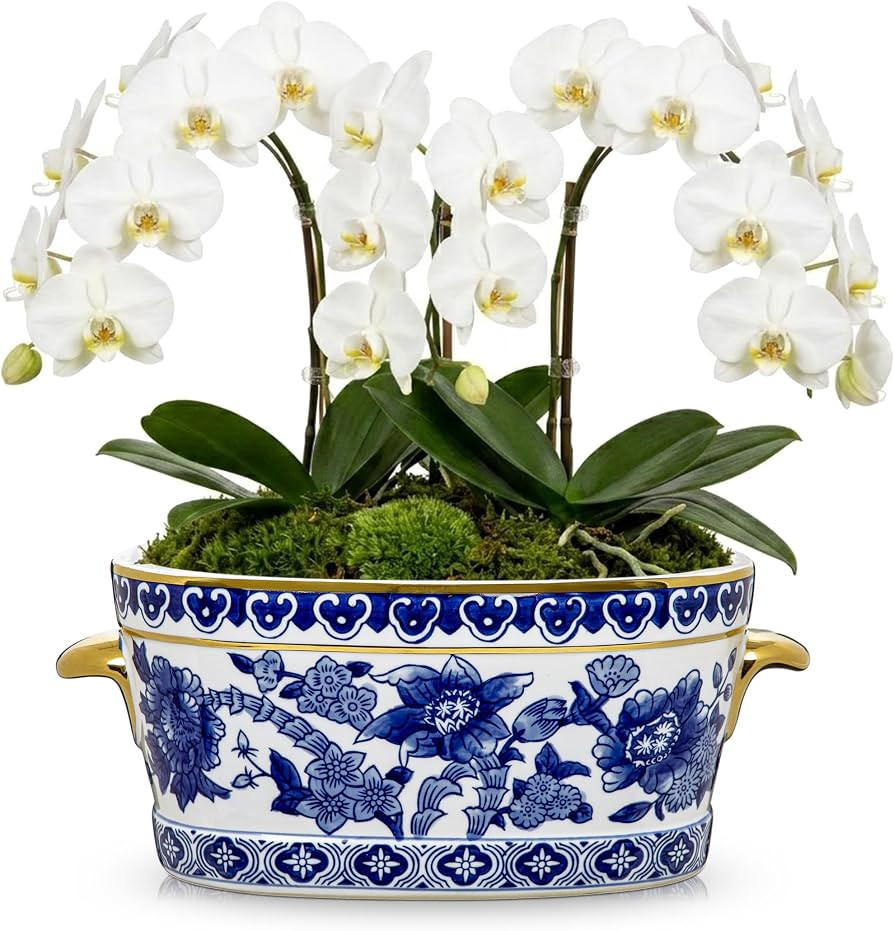Blue and White Ceramic Planter Pot \u2013 Vintage Floral Oval Cachepot Vase for Indoor Plants, Fl... | Amazon (US)