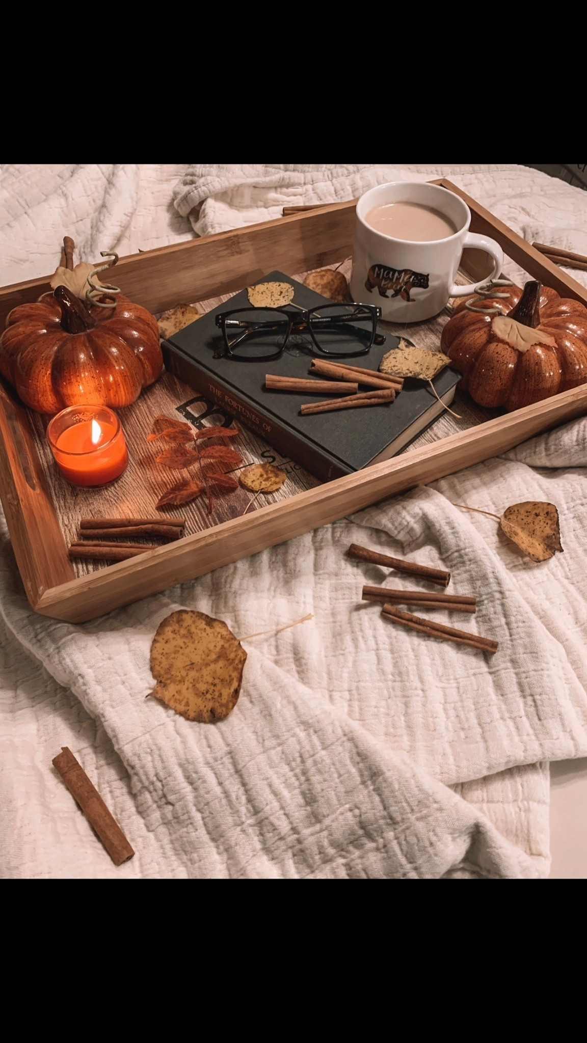 It’s almost time to say goodbye to all of the beautiful Fall decor and welcome all of my Festive Christmas items!! 

#LTKfall #LTKwinter #LTKholiday