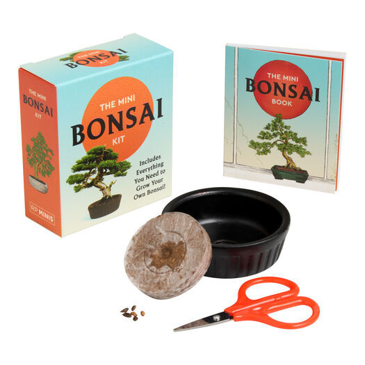 Mini Bonsai Kit by World Market | World Market