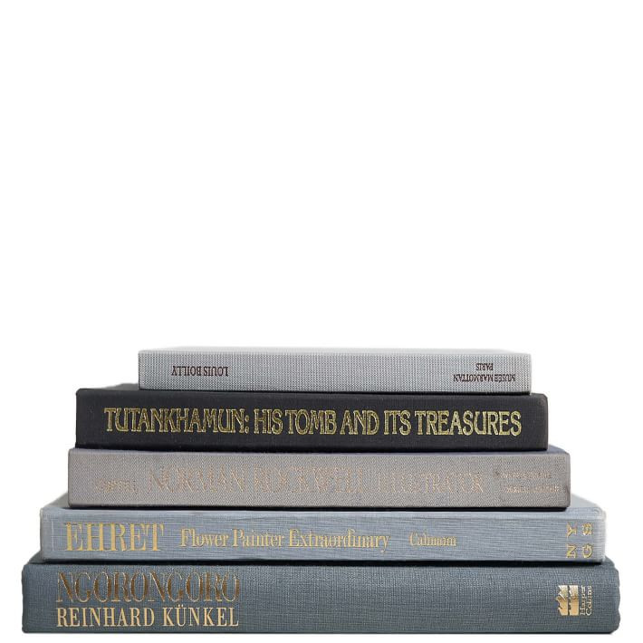 Modern ColorStak Books | West Elm (US)