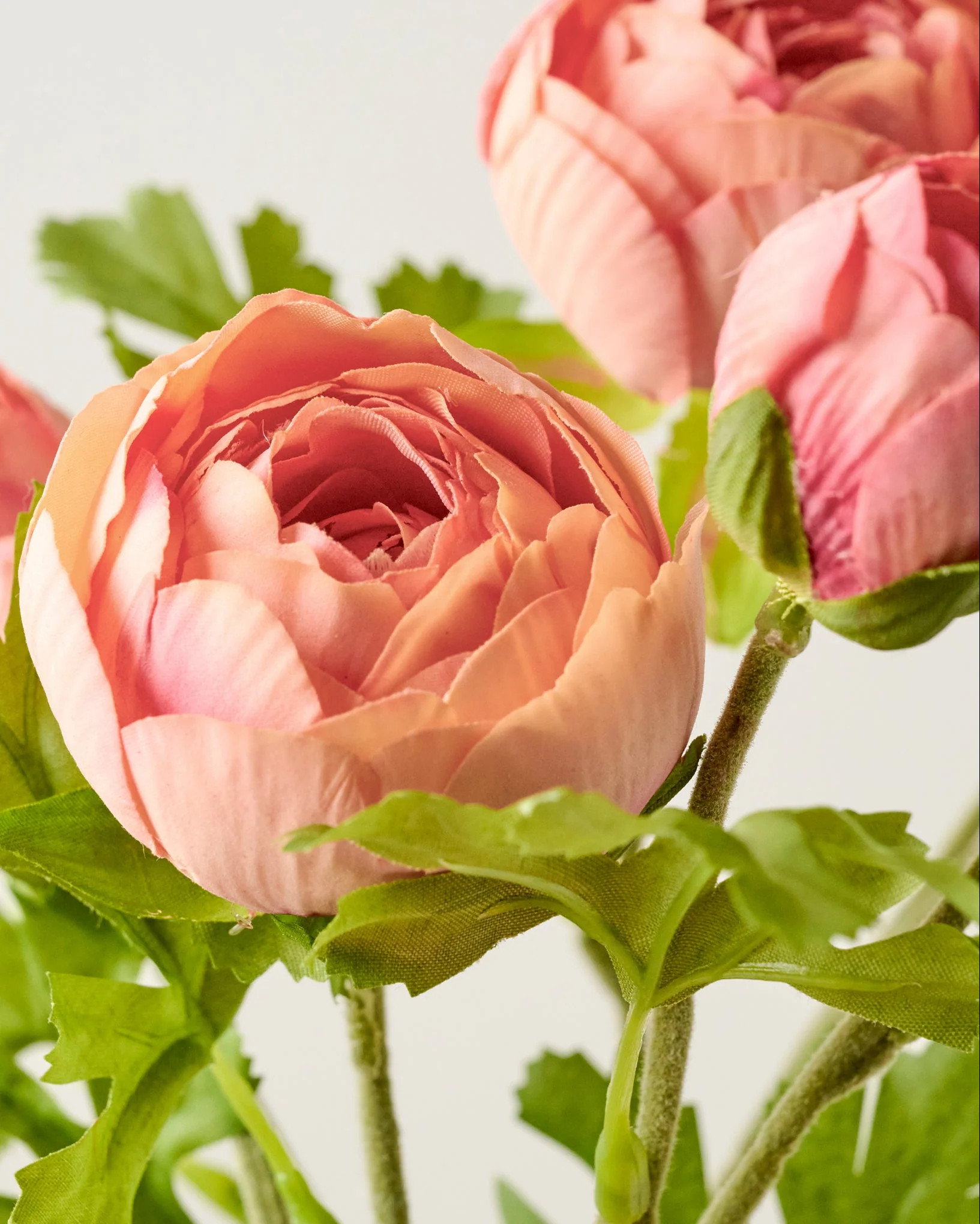 Real Touch Ranunculus Stem | Magnolia