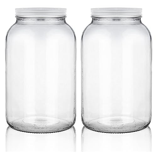 Stock Your Home Gallon Glass Jar with Metal Lid (2 Pack) - 128 Ounce - Airtight & Odor Proof - Pickling & Canning Jars for Kombucha, Sun Tea, Fruits - Food Grade Jars for Dried Goods, Sugar, Flour | Amazon (US)