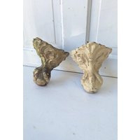 Antique Ball & Clawfoot Tub Feet, Bathtub Old Claw Foot Feet Legs, Architecture Salvage 101903 | Etsy (US)