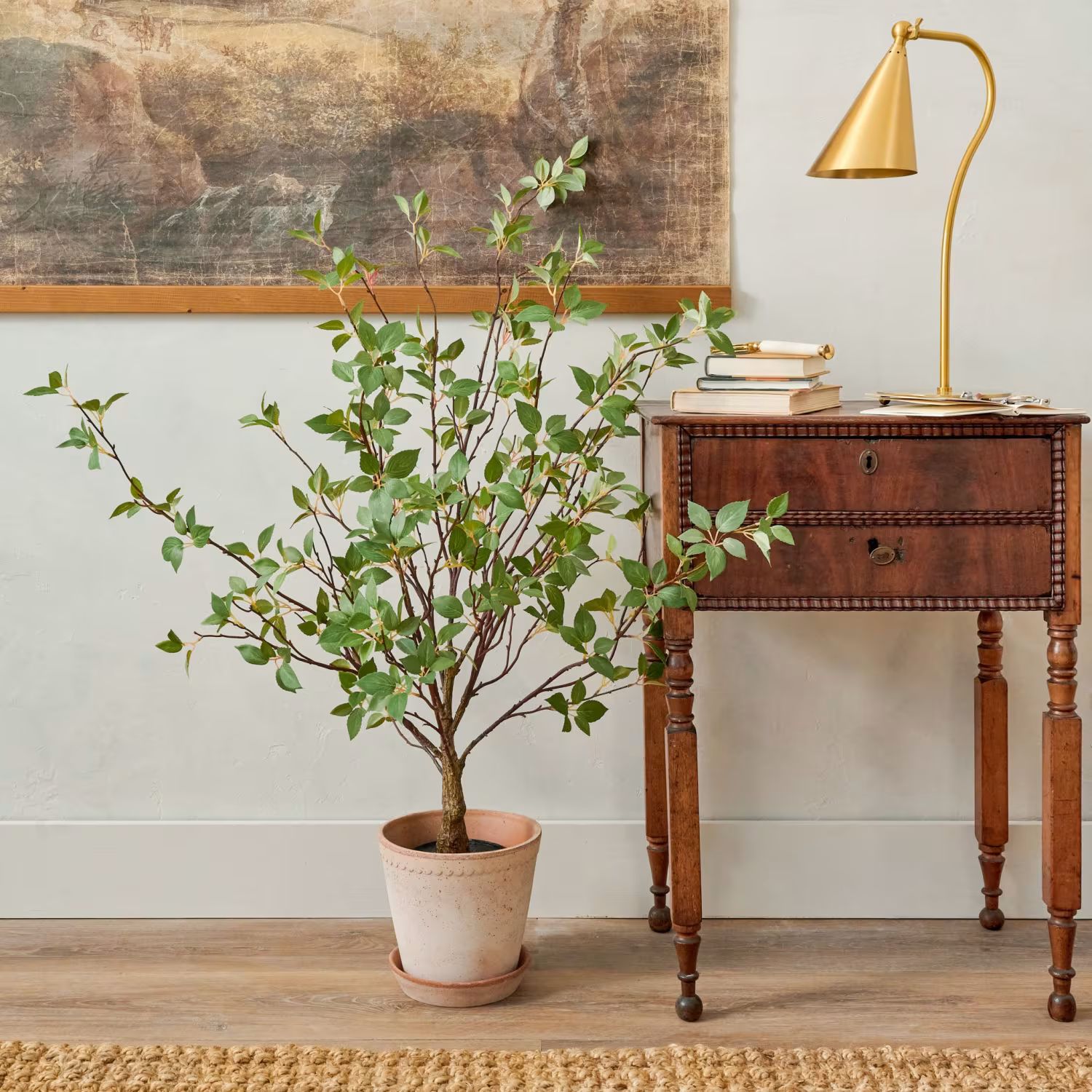 Small Potted Green Leaf Tree | Magnolia