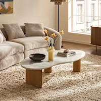 Lavine Marble Coffee Table | Castlery | Castlery US