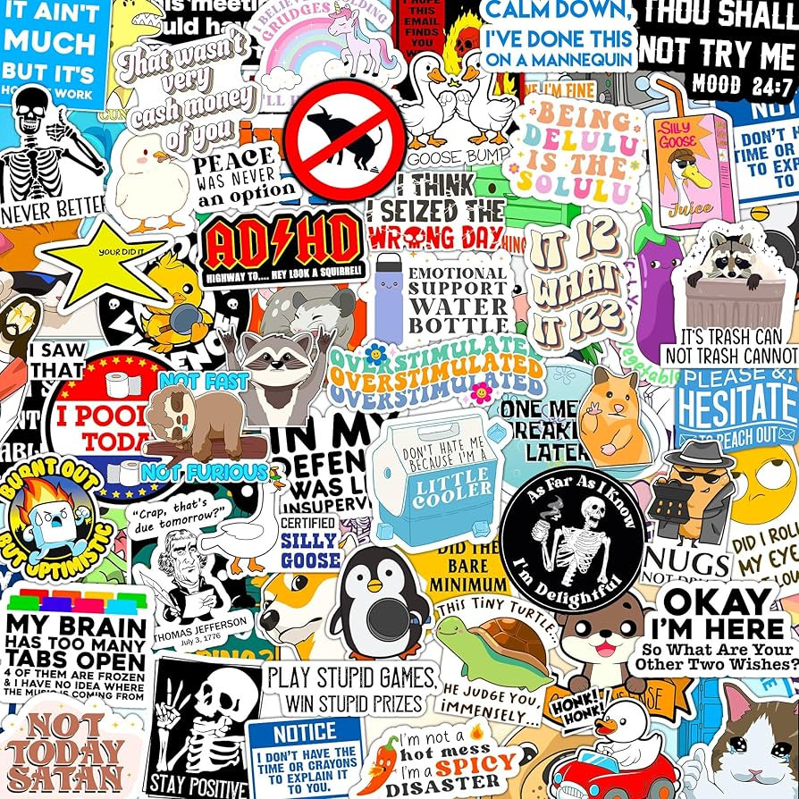 123PCS Stickers Pack for Adults, Women, Nurses, Bulk Sarcastic Sticker Pack for Water Bottles, La... | Amazon (US)