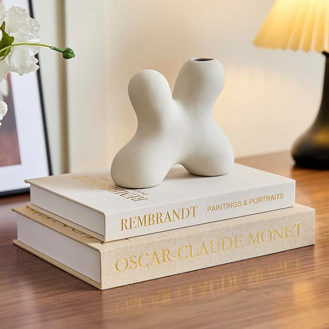 Aesthetic Linen Decorative Fake/Faux Books for Coffee Table, Set of 2 Storage Boxs for Living Roo... | Amazon (US)