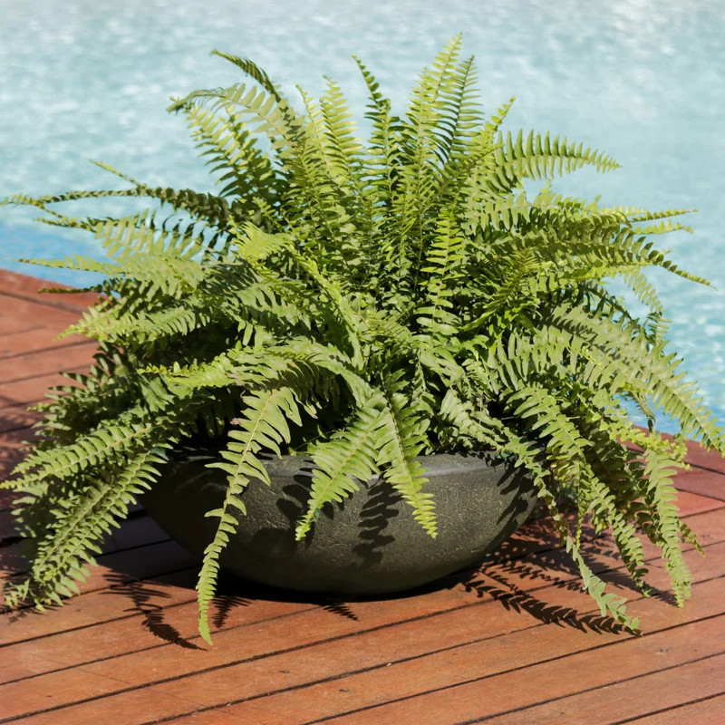 Ascend 20.75" x 20.75" x 11.5" Round Polyresin Outdoor Planter Pot - Sable | Wayfair North America