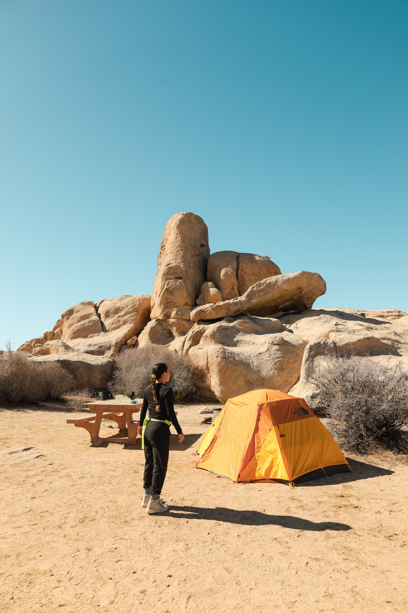 Camping setup and hiking attire!

#LTKfindsunder100 #LTKover40 #LTKtravel