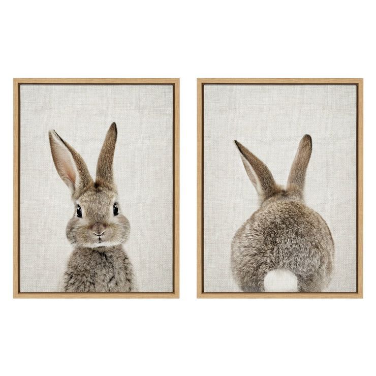 18" x 24" (Set of 2) Sylvie Bunny Portrait and Tail By Amy Peterson Framed Wall Canvas Set - Kate... | Target