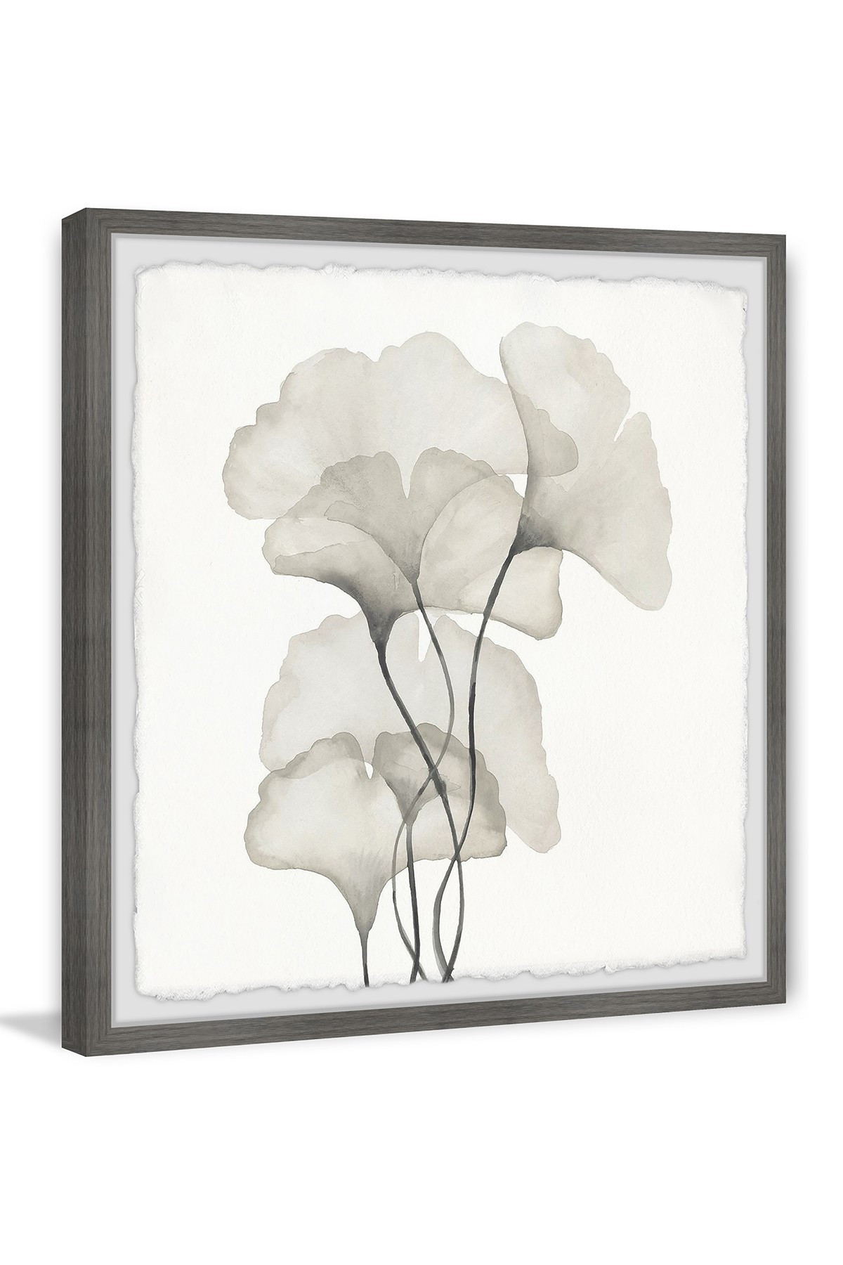 Ginkgo Biloba Leaves Wall Art | Nordstrom Rack