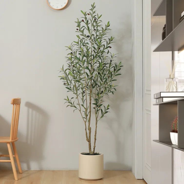 Adcock Faux Olive Tree in White Planter, Lifelike Fake Olive Plant for Indoor and Outdoor Decor | Wayfair North America
