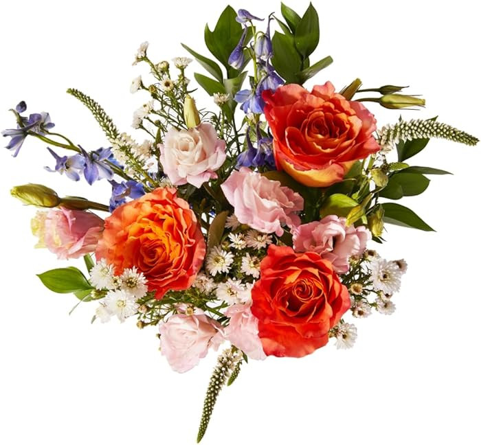 UrbanStems – The Juliet Bouquet (No Vase) – Fresh Flowers for Delivery – Gift for Birthday,... | Amazon (US)