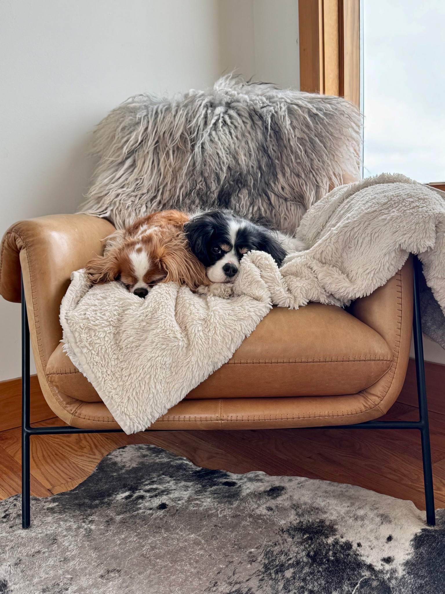 All the textures and feels make for a cozy spot for everyone.✨

#LTKStyleTip #LTKHome #LTKWatchNow