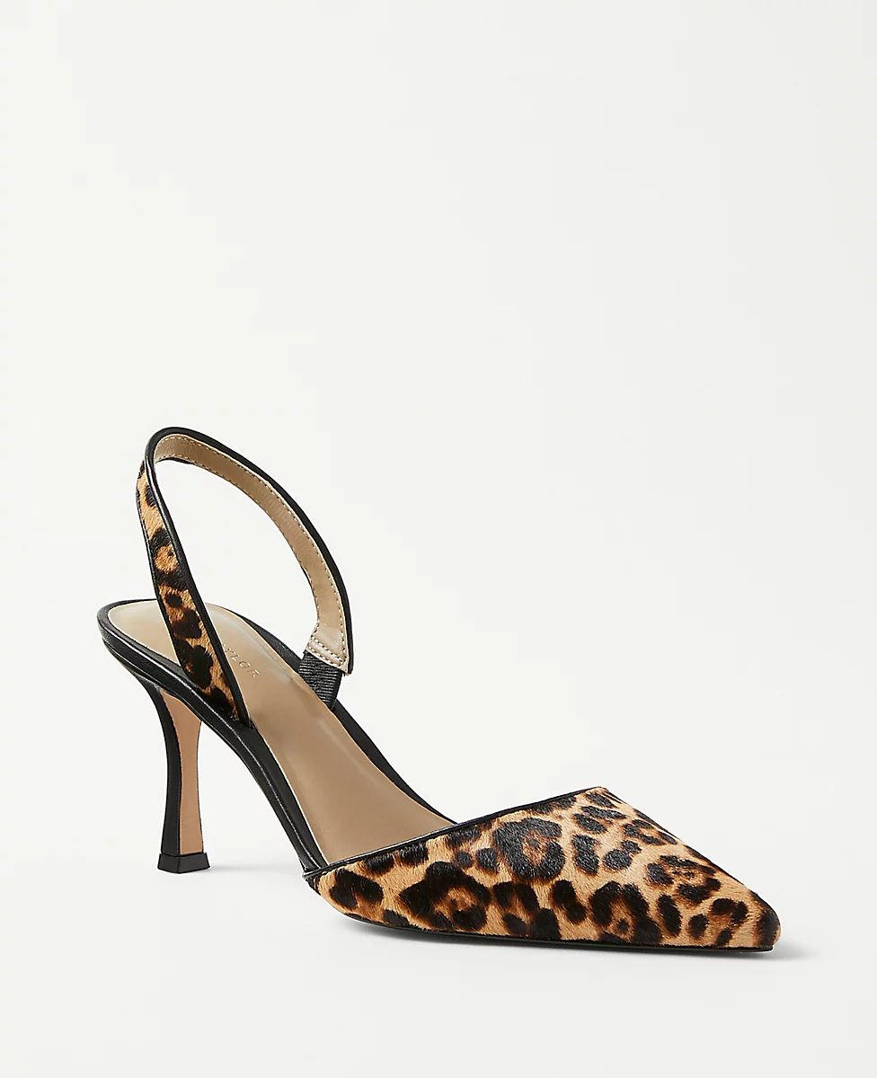 Kerry Haircalf Pumps | Ann Taylor (US)