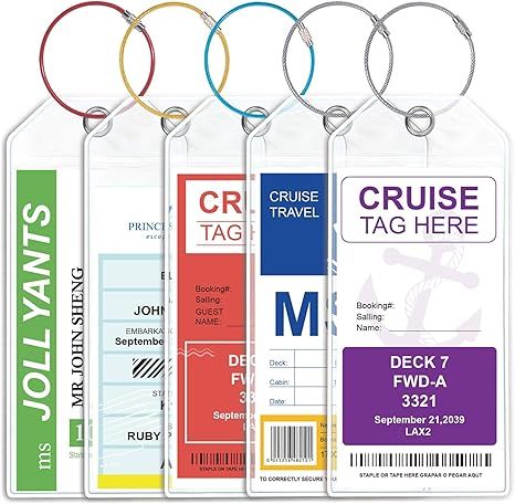 Cruise Ship Essentials for Carnival, Princess, Norwegian Cruise Luggage tag Holder Rainproof & Re... | Amazon (US)