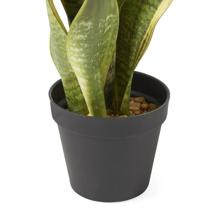 Artificial Snake Plant | Wayfair Professional