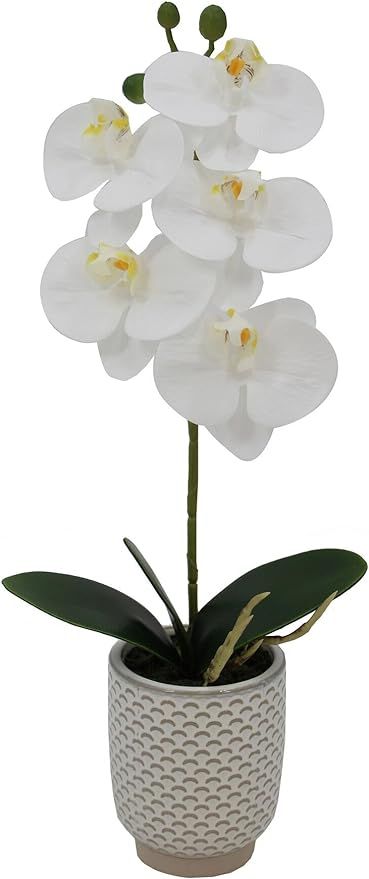 Elements Mikasa Artificial Orchid in Pot, Real Touch Phalaenopsis Orchid, Faux Floral Décor for ... | Amazon (US)