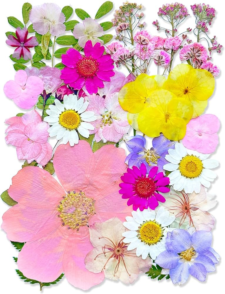 MIKIYA 33Pcs Pink Pressed Dried Flowers for Resin, Real Natural Bulk Assorted Dry Floral Leaves f... | Amazon (US)