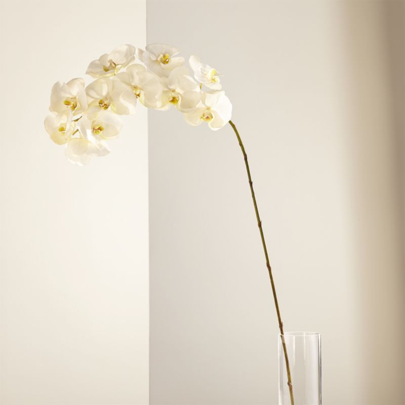 Artificial White Orchid Stem + Reviews | Crate and Barrel | Crate & Barrel