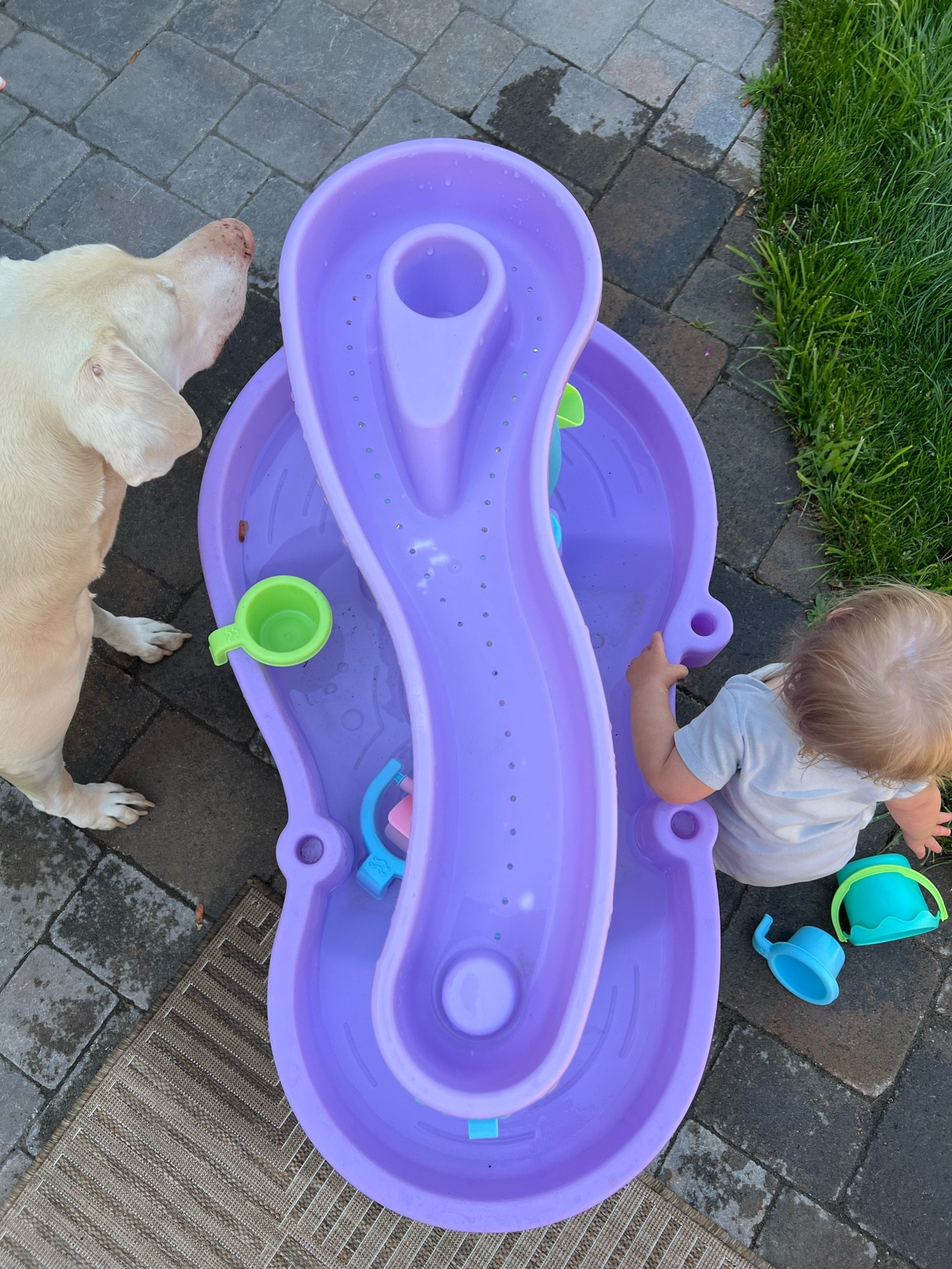 If you need us this summer… we’re outside at the ✨water table ✨. In all seriousness though, Chloe and her toddler friends are so obsessed with water tables it blows my mind 😂 

I thought it was just a trendy toy but they’re literally obsessed 😂

#summeractivities #summertoys #toddlertoys

#LTKmomlife #LTKKids #LTKBaby