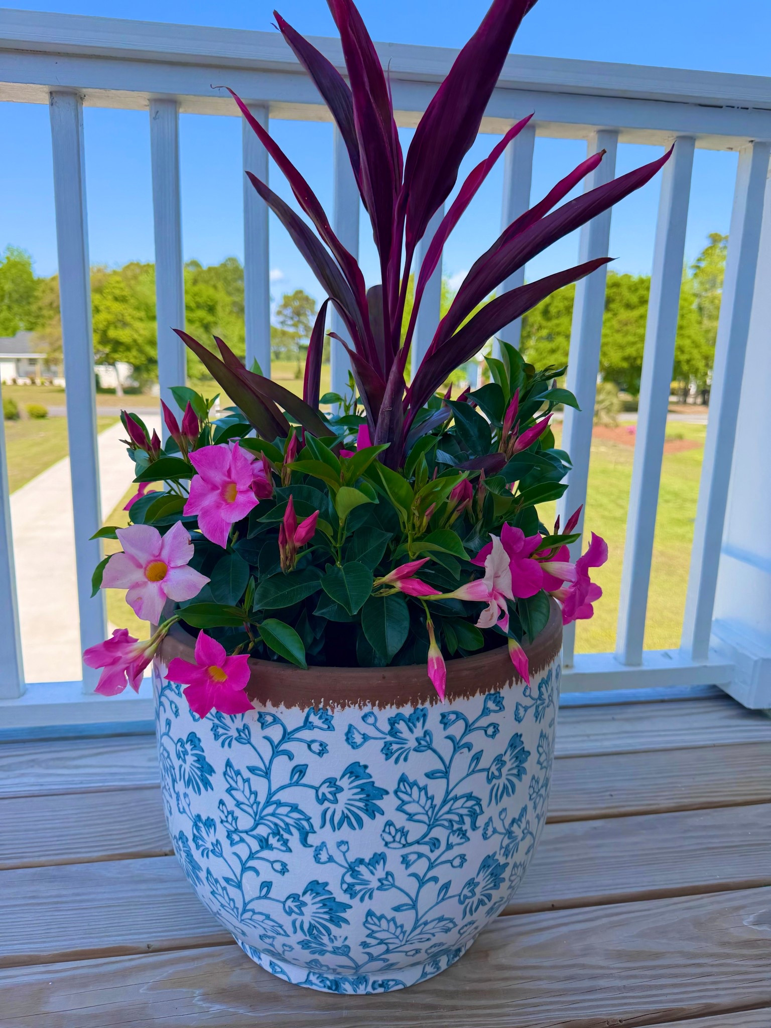 The timeless perfect pot works inside or out and comes in 3 sizes abd free shipping 

#LTKHome #LTKSeasonal