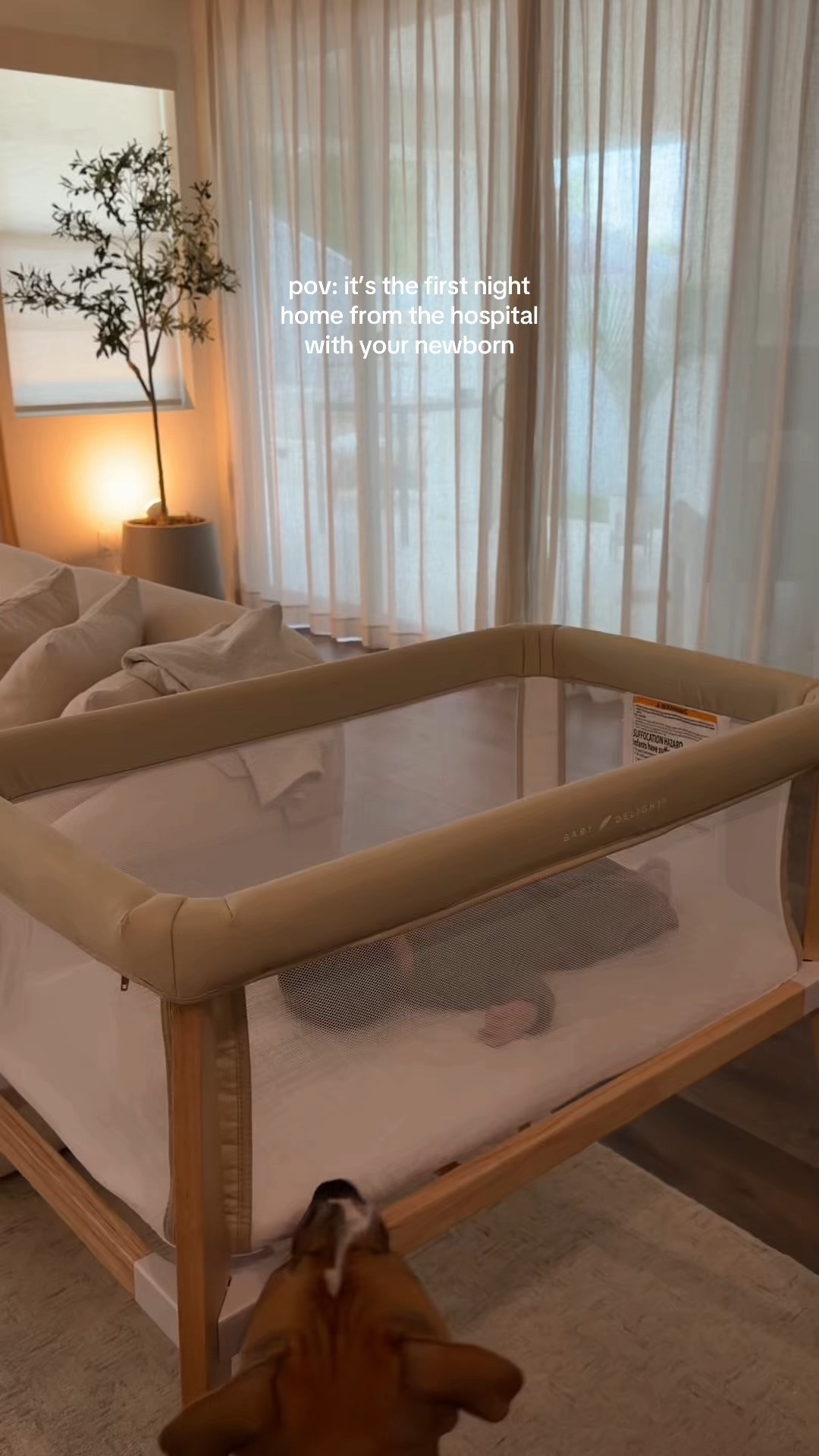 affordable and aesthetic bassinet 🤍 from baby delight, available at walmart 

#LTKFamily #LTKHome #LTKBaby