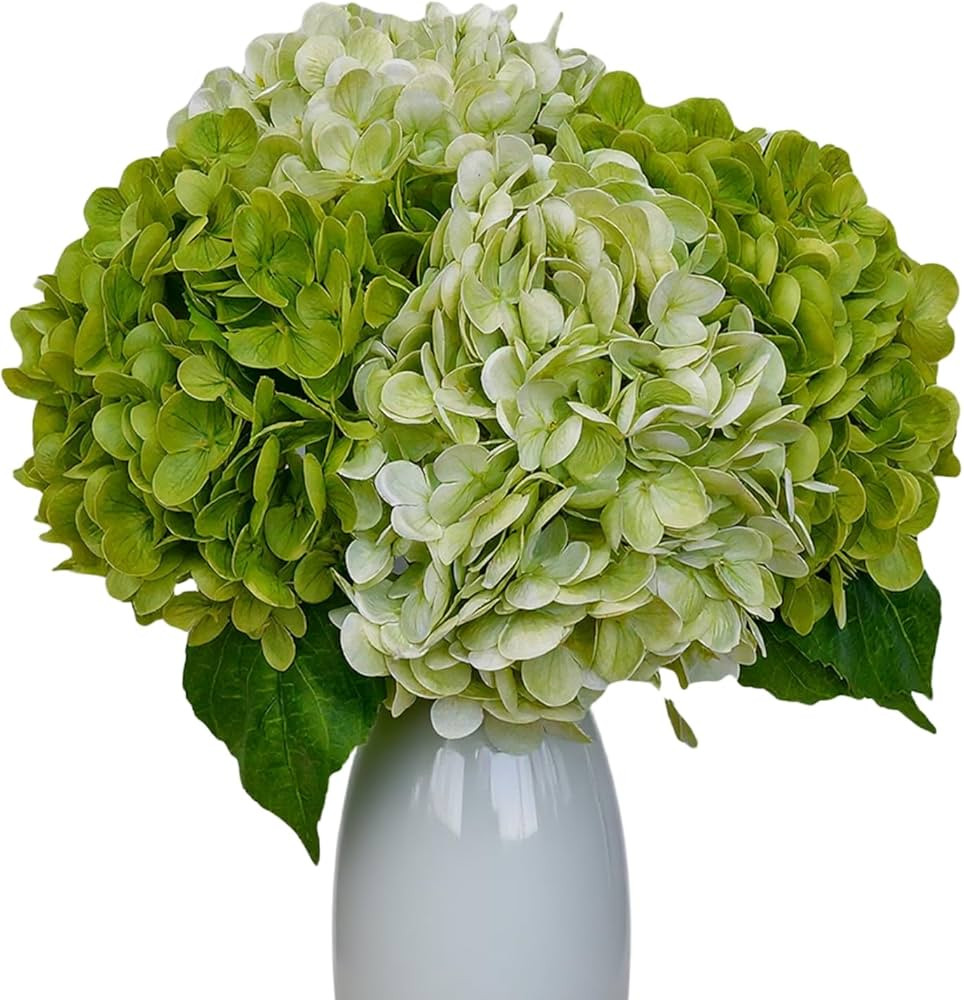 4Pcs Hydrangea Artificial Flowers 21 Inch Real Touch Flowers with Stems Fake Artificial Hydrangea... | Amazon (US)