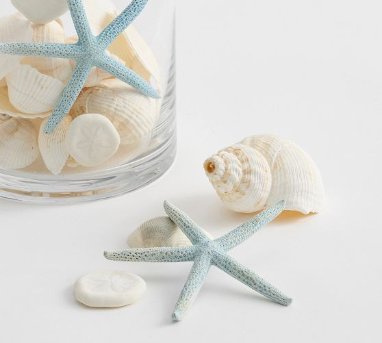 Blue &amp; White Mixed Shell Vase Filler | Pottery Barn (US)
