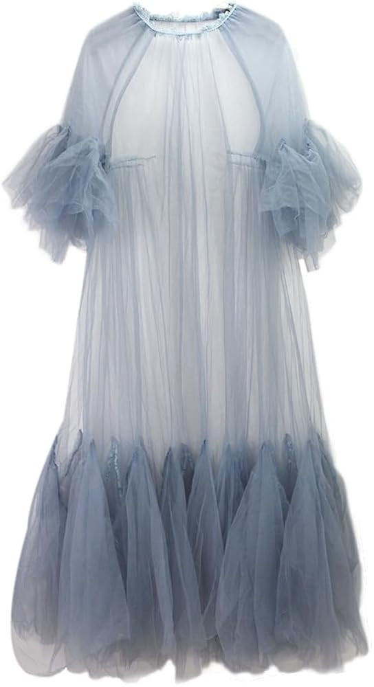 Inzegao Women Tulle See Through Long Dress Crewneck Long Sleeve Mesh Dresses Party Photoshoot | Amazon (US)