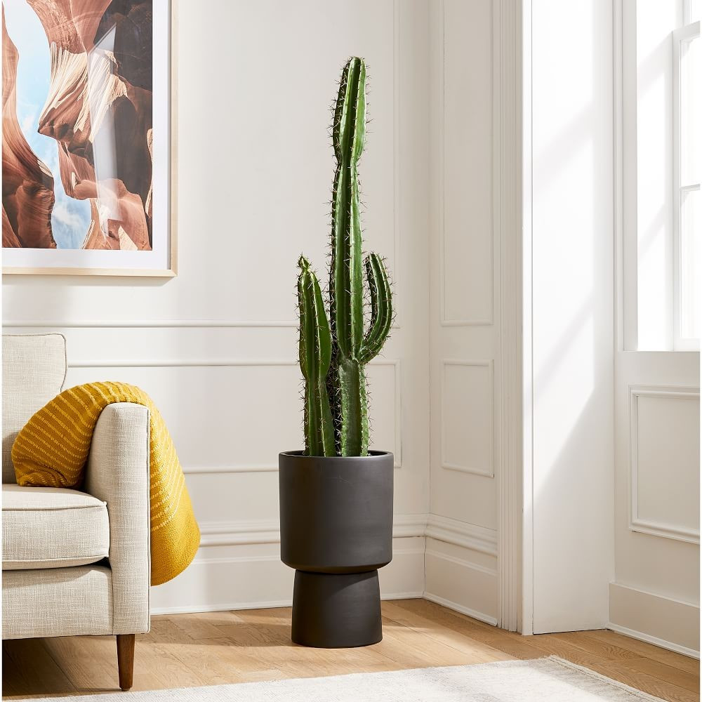 Faux Potted Cactus & Bishop Indoor/Outdoor Planter | West Elm (US)