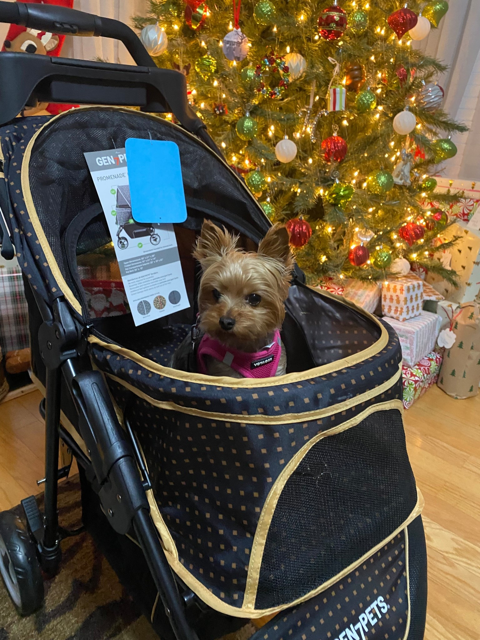 Willow’s stroller! This stroller pushes great. You can push it with one finger. 