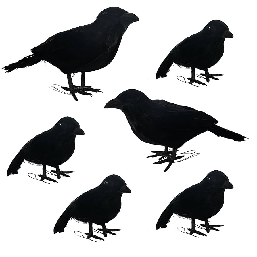 NEROSUN 6 Pack Halloween Black Feathered Crows, 5.7" & 8.7" Realistic Feathered Black Birds Raven... | Amazon (US)