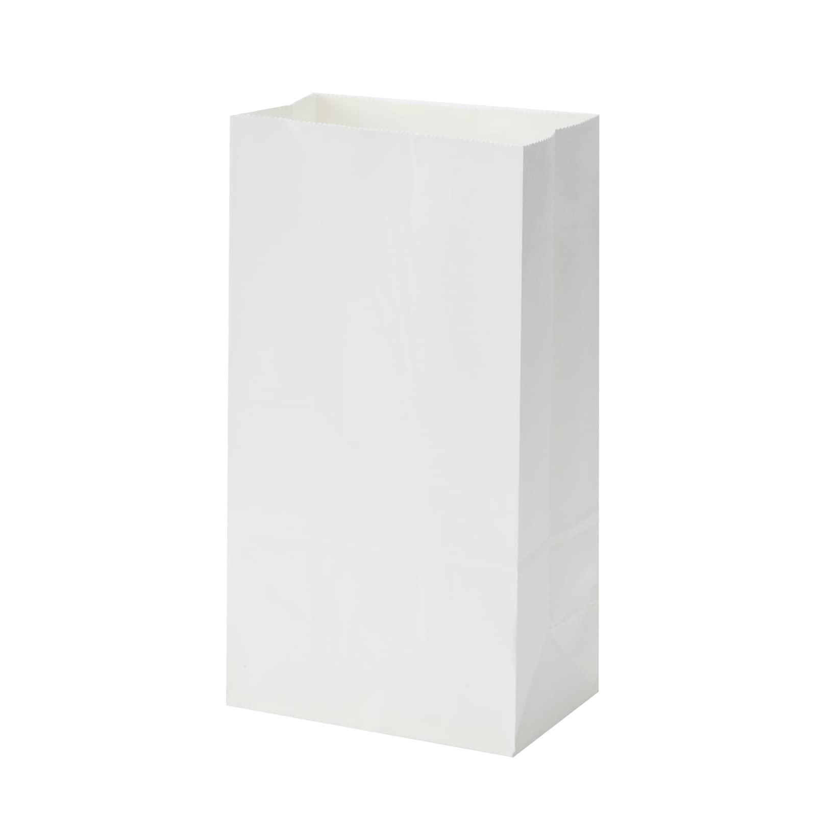 40 Count White Grocery Lunch Bag Kraft Paper Bags 4 lb Capacity | Amazon (US)