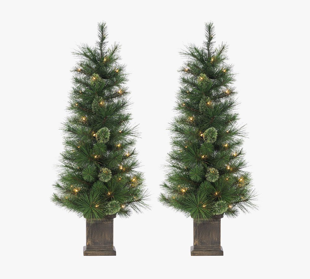 Lit Faux Potted Cashmere Trees - Set of 2 | Pottery Barn (US)