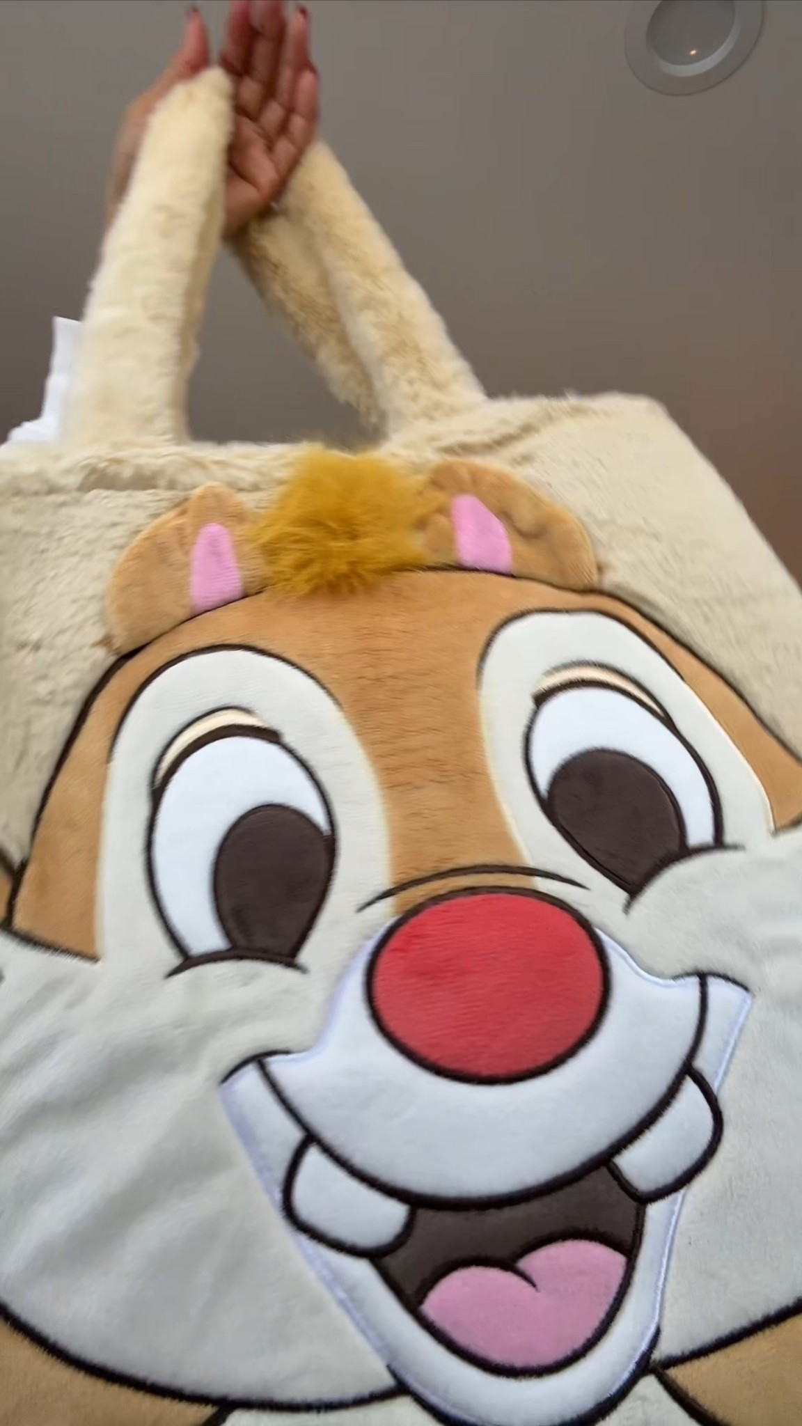 Found the best bags for your next Disney Parks trip! #mickey

#LTKOver40 #LTKootd #LTKSpringSale