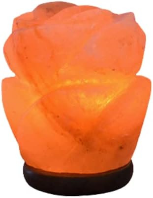 Flower Pink Himalayan Salt Lamps Natural Crystal Hymalain Rock Lamp for Gifts, Air Purifying, Ind... | Amazon (US)