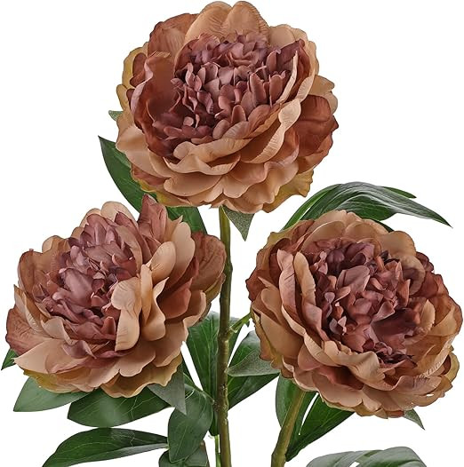 Briful 3PCS Faux Peony Flower Stems, 25.5" Artificial Peony Flowers Realistic Fake Flowers for Va... | Amazon (US)