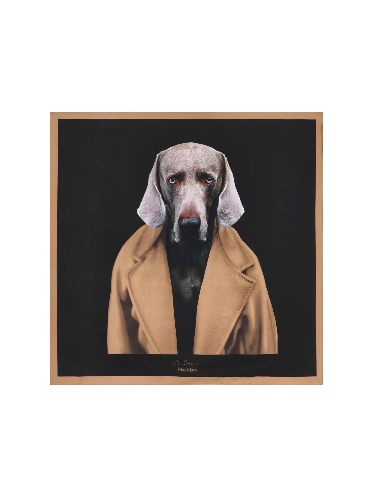 Max Mara | Cettire Global