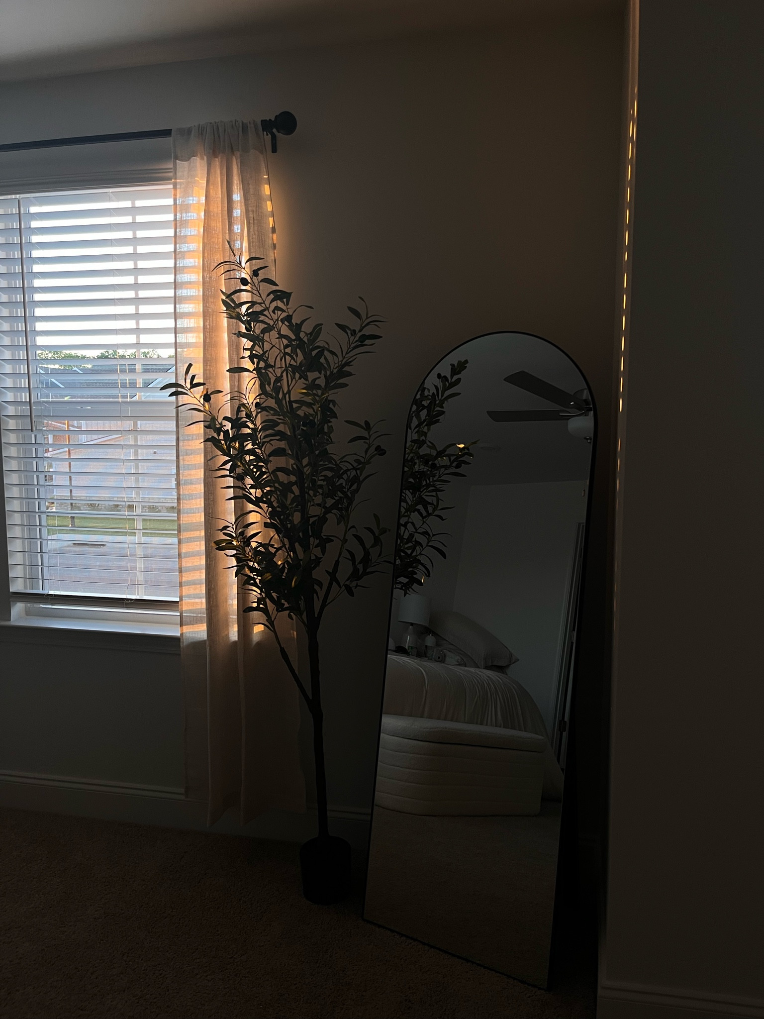 our bedroom is coming along nicely! love this olive tree and mirror combo🖤✨

#LTKHome #LTKFindsUnder50