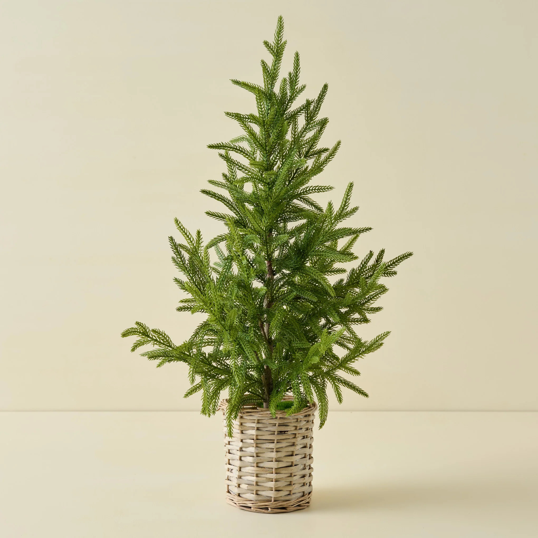 Real Touch Norfolk Pine Potted Tree | Magnolia