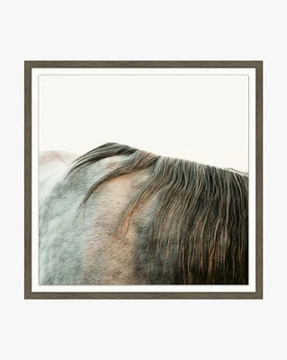 Graying | McGee & Co. (US)