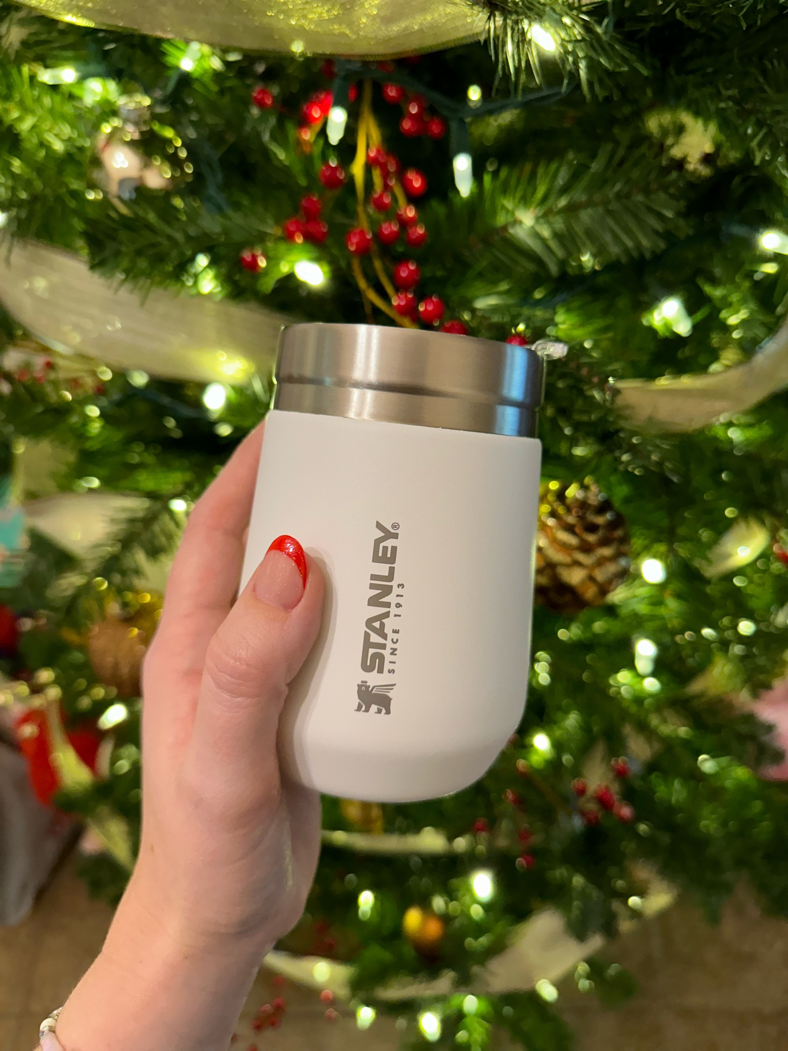 Linking this Stanley 10 oz set - each tumbler comes out to $15, making it the perfect stocking stuffer! 🎄 

#LTKSeasonal #LTKGiftGuide #LTKHoliday