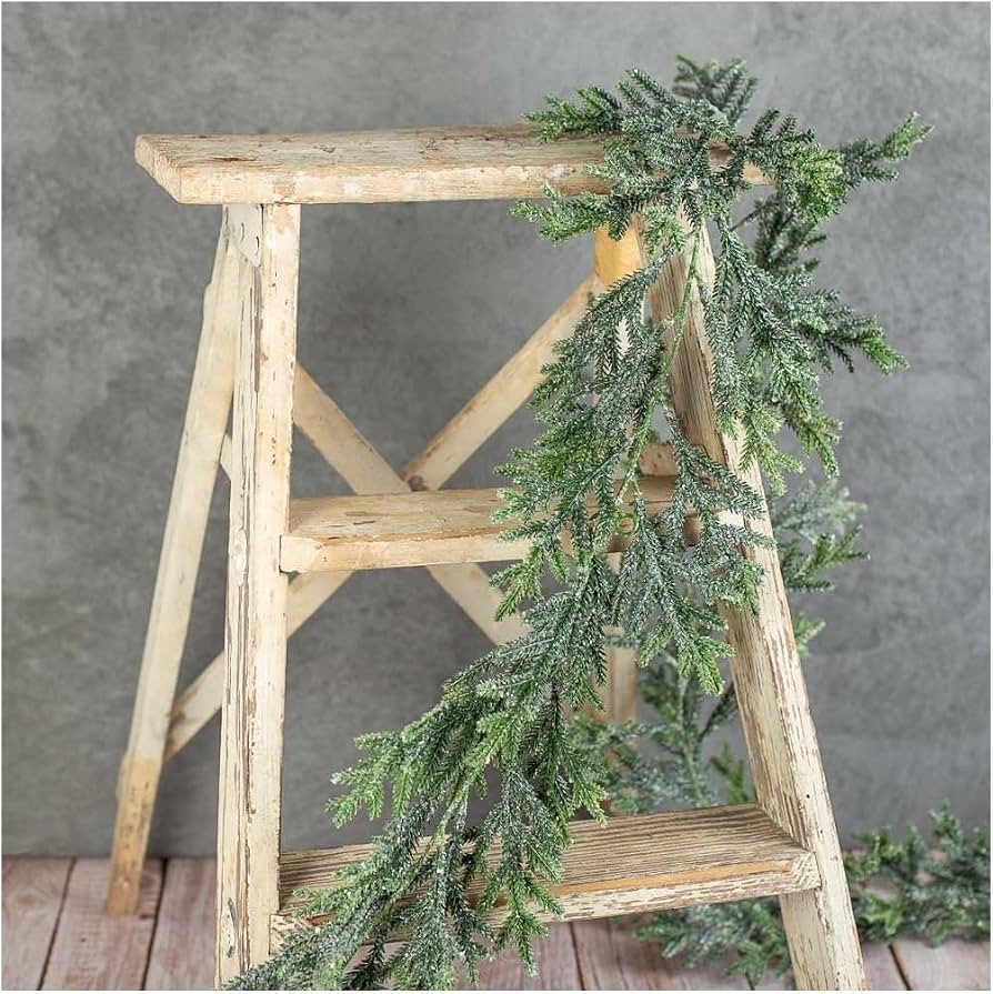 Weather Resistant Artificial Frosted Frasier Fir Pine Garlands Set of 2 by Factory Direct Craft F... | Amazon (US)